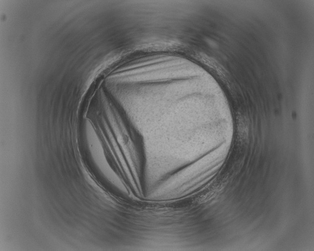 X0000067510582200604281610