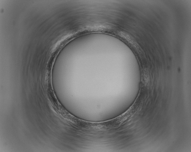 X0000067510583200604281610