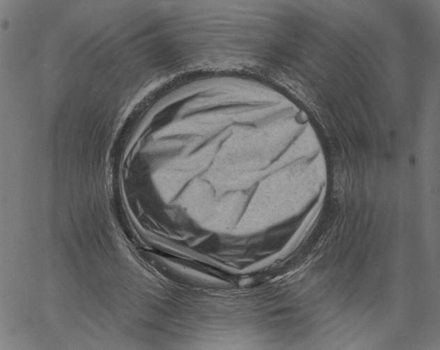 X0000067510584200604281610