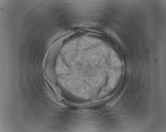 X0000067510585200604281610