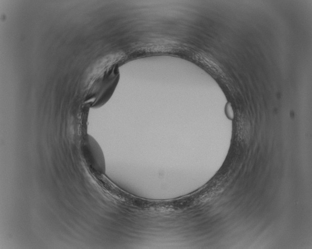 X0000067510586200604281610