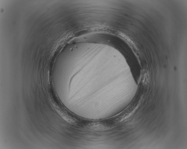 X0000067510589200604281610