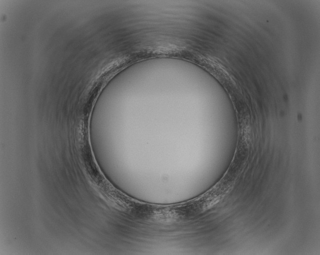 X0000067510591200604281610