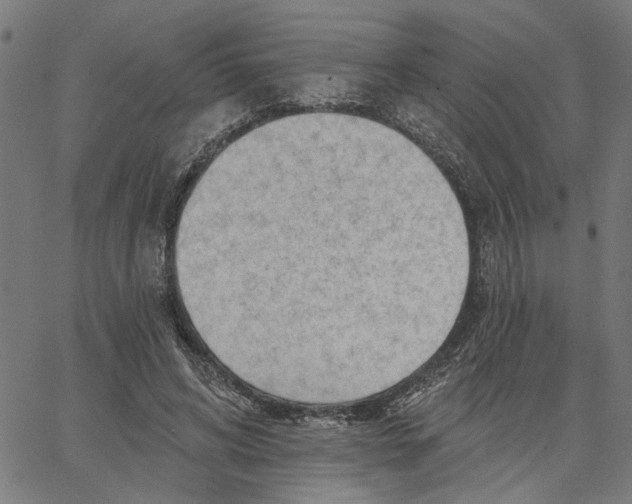 X0000067510592200604281610