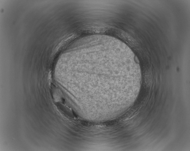 X0000067510594200604281610