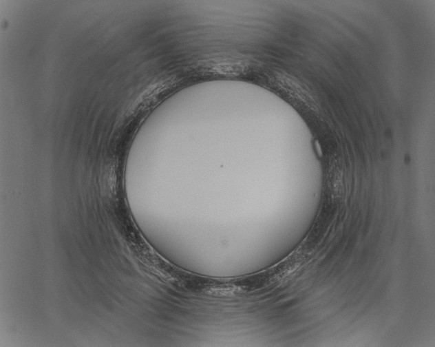 X0000067510595200604281610