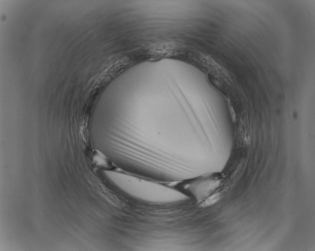 X0000067510601200604281610