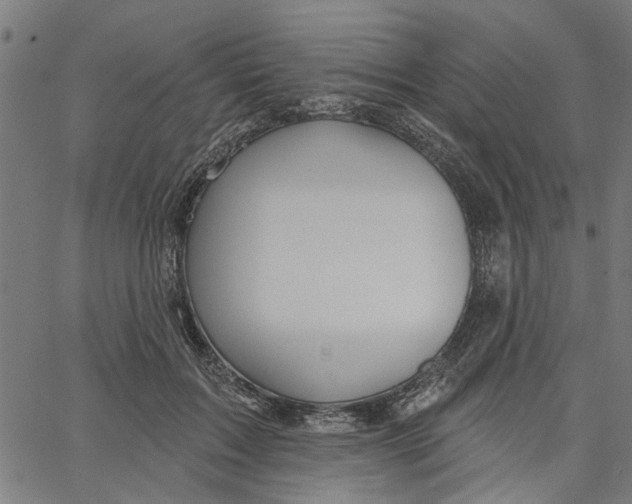 X0000067510603200604281610