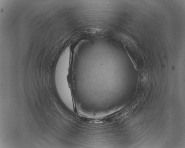 X0000067510607200604281610