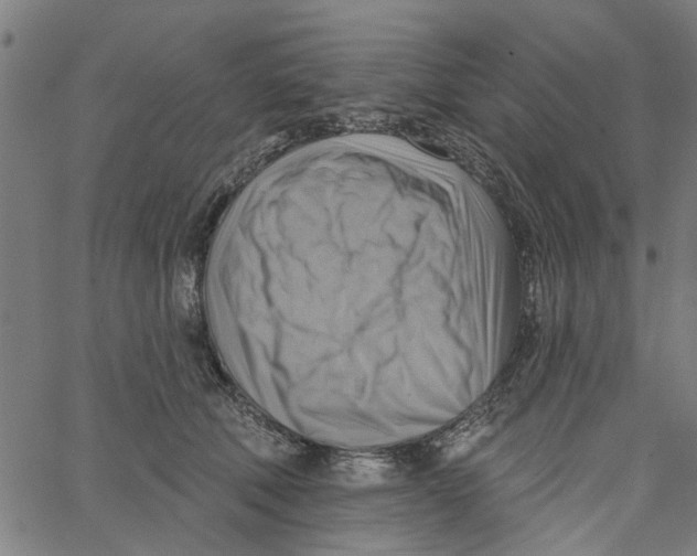 X0000067510610200604281610