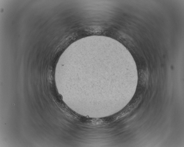 X0000067510612200604281610