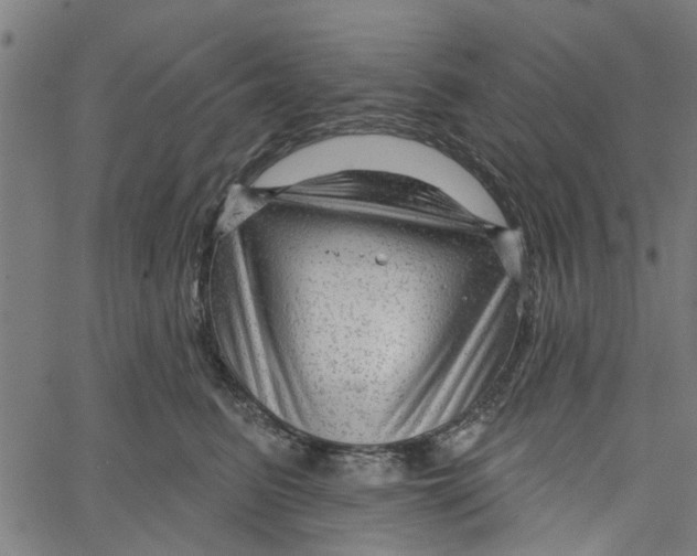 X0000067510615200604281610