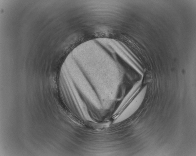 X0000067510616200604281610