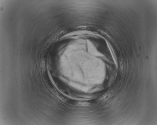 X0000067510617200604281610