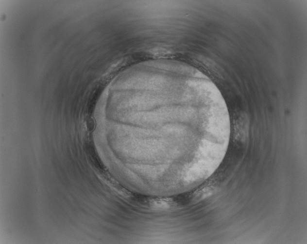 X0000067510618200604281610