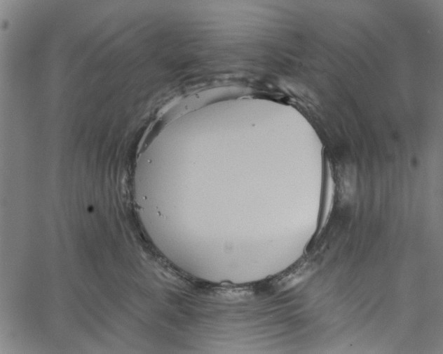 X0000067510619200604281610