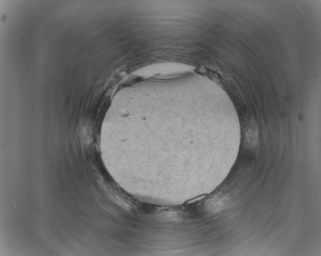 X0000067510620200604281610