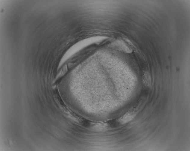 X0000067510621200604281610