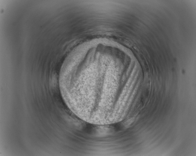 X0000067510623200604281610