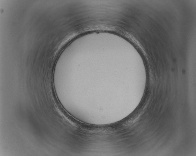 X0000067510625200604281609