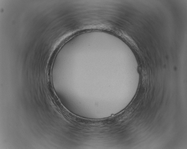 X0000067510628200604281609