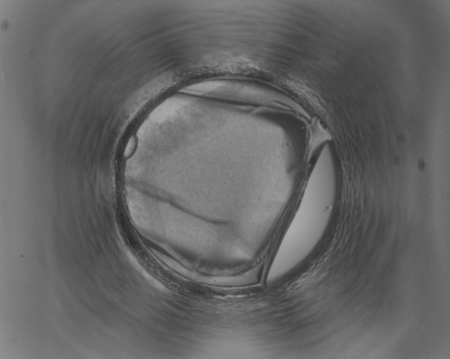 X0000067510630200604281609