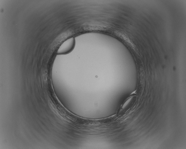 X0000067510631200604281609