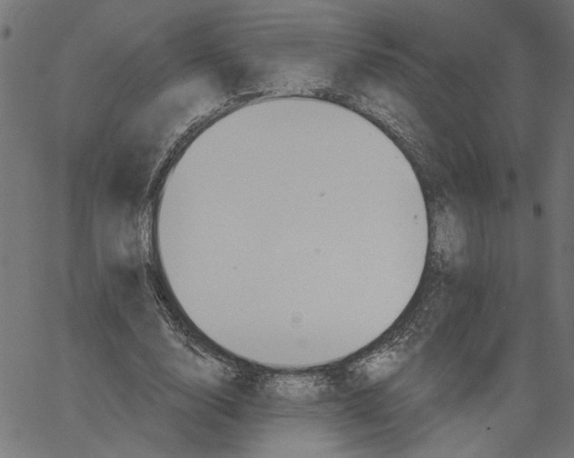 X0000067510632200604281609