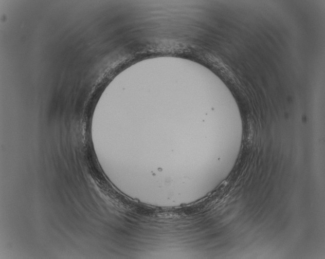 X0000067510636200604281609