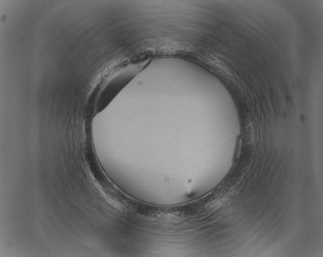 X0000067510638200604281609