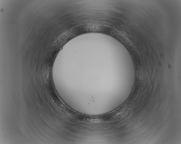 X0000067510645200604281609