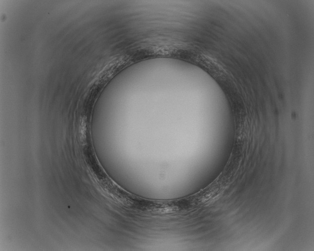 X0000067510646200604281609