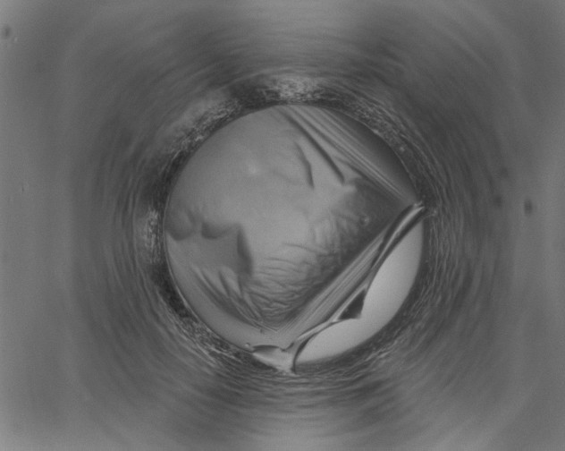 X0000067510650200604281609