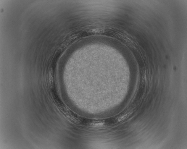 X0000067510651200604281609