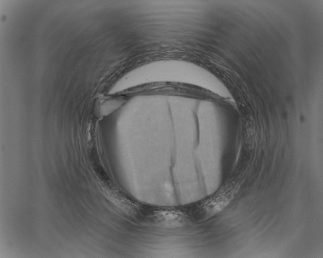 X0000067510654200604281609