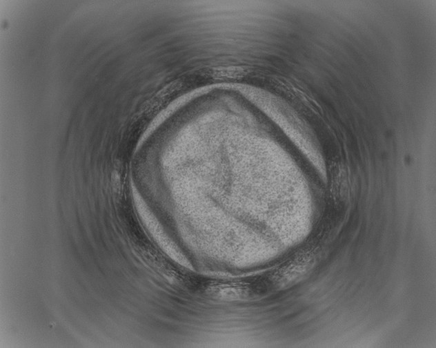 X0000067510655200604281610