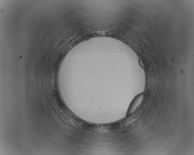 X0000067510656200604281610