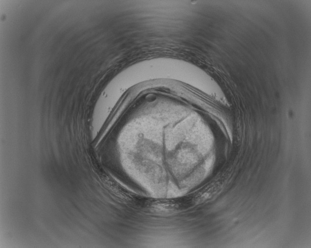 X0000067510657200604281610