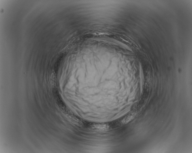 X0000067510659200604281610