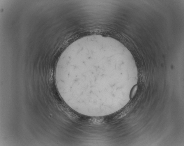 X0000067510660200604281610