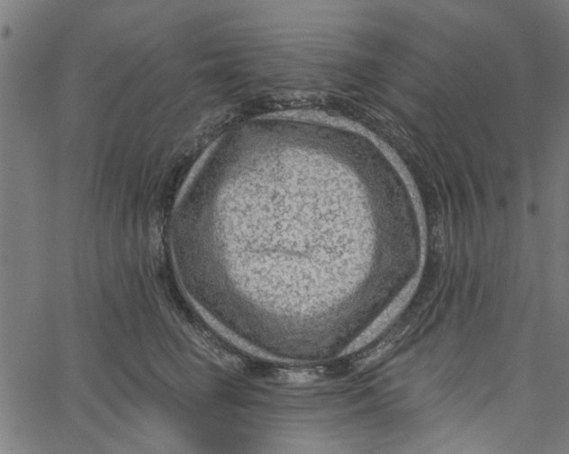 X0000067510662200604281610