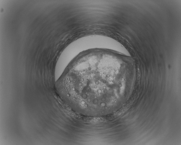 X0000067510663200604281610