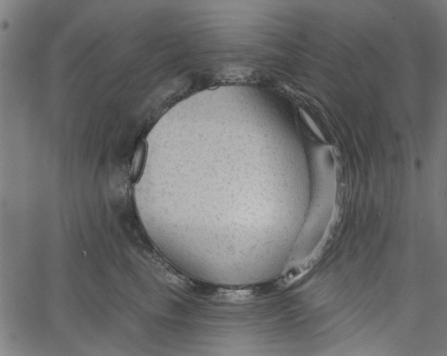 X0000067510665200604281610