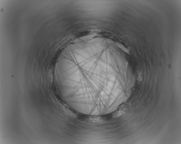 X0000067510666200604281610