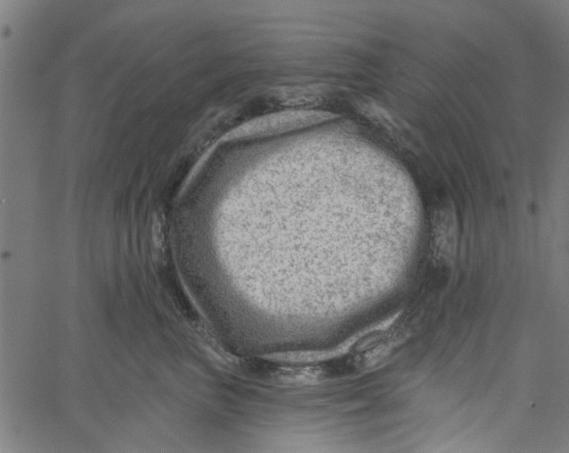 X0000067510667200604281610