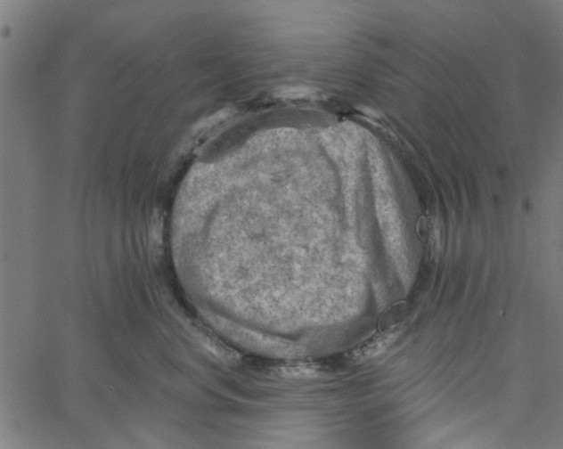 X0000067510668200604281610