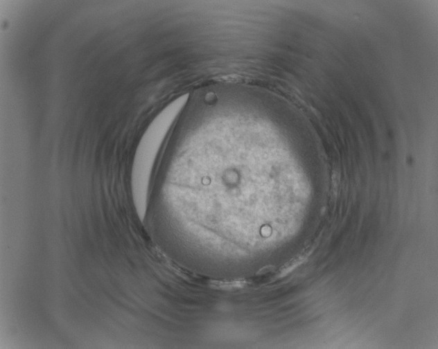 X0000067510671200604281610