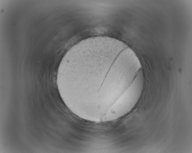 X0000067510672200604281610