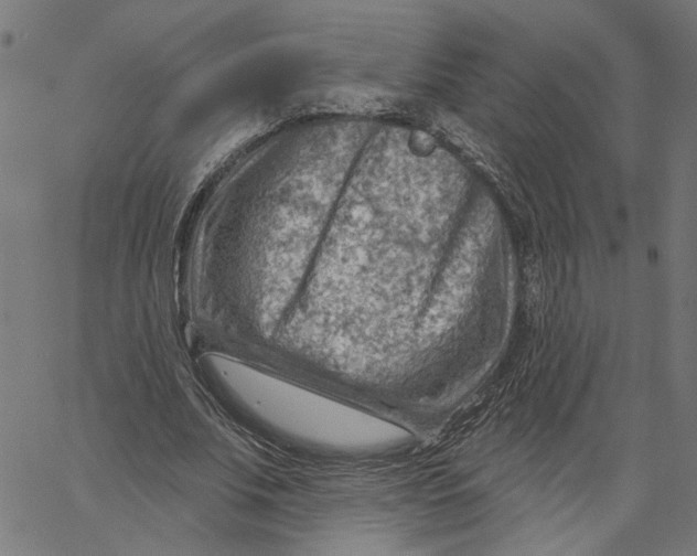 X0000067510679200604281609