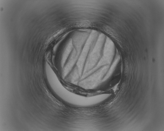 X0000067510681200604281609